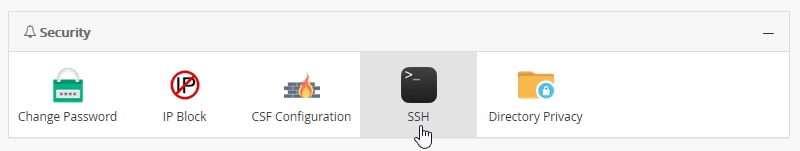 Secțiunea SSH Webuzo