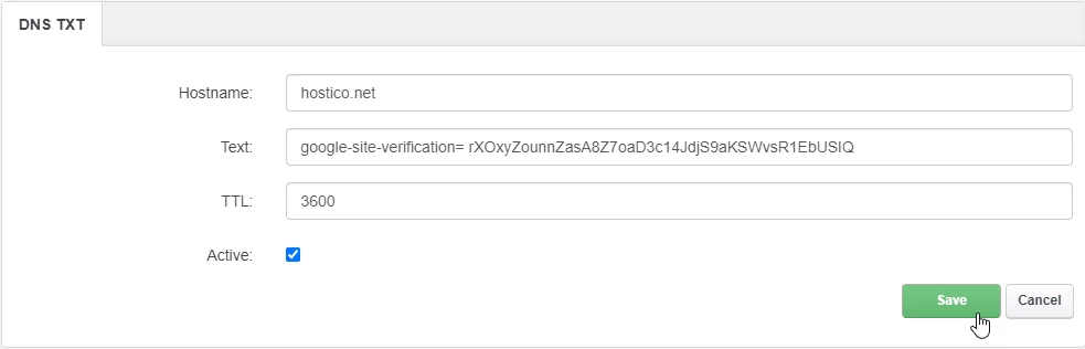 txt domain verification